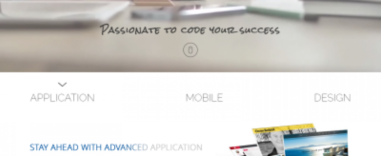 Software Development Company